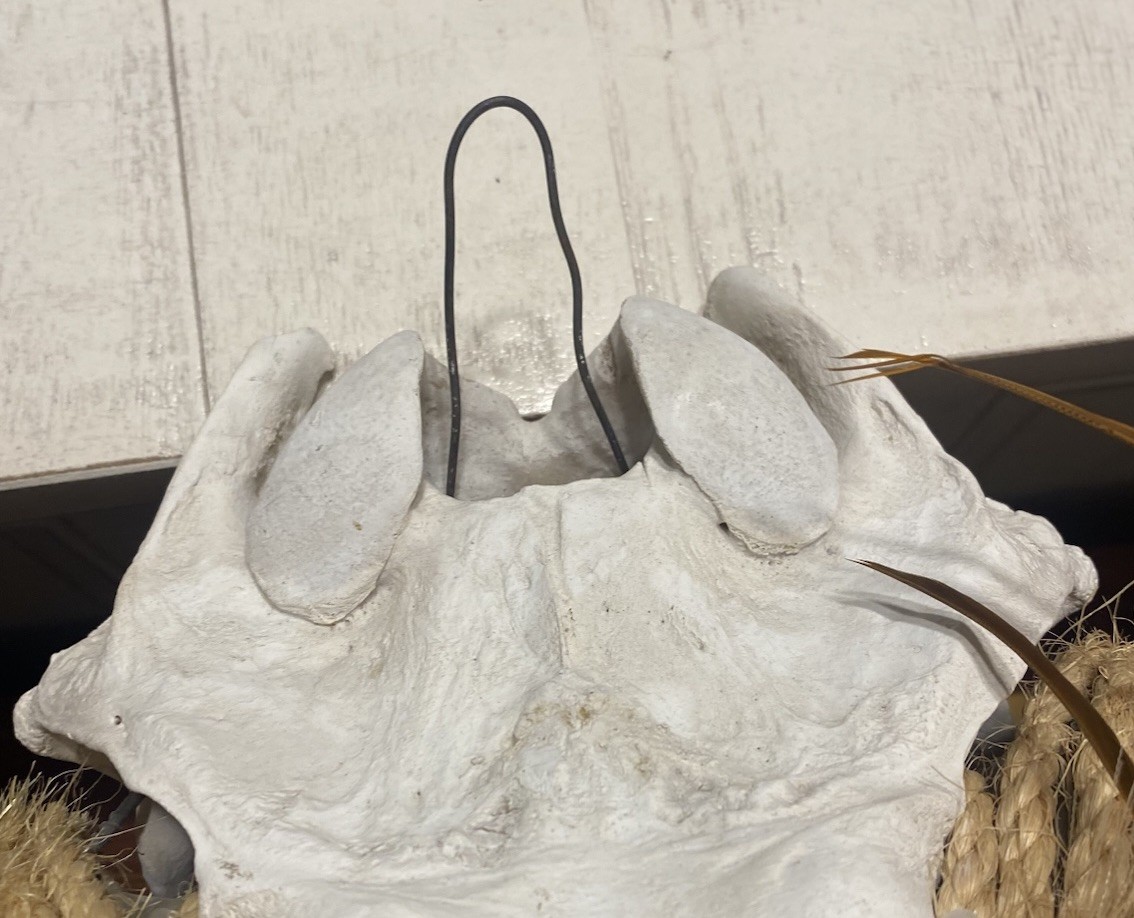 Rustic Wedding/Home Custom Longhorn Wall Decor OOAK Piece